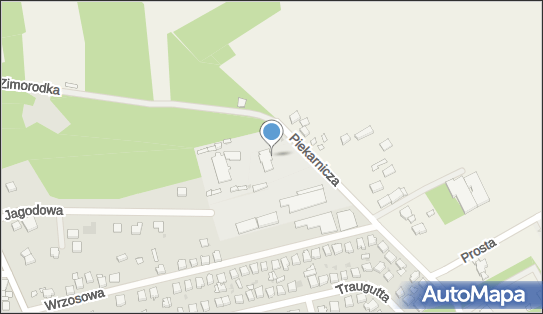 Paczkomat InPost LAS07M, Piekarnicza 2a, Łask 98-100