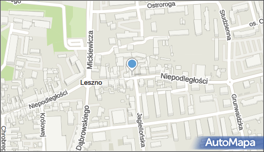 Paczkomat InPost LES03M, Niepodległości 49, Leszno 64-100