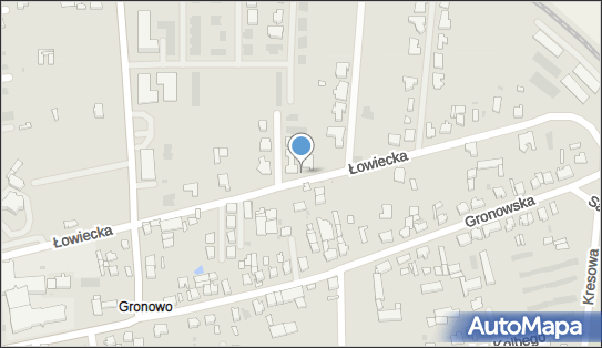 Paczkomat InPost LES28M, Łowiecka 49, Leszno 64-100