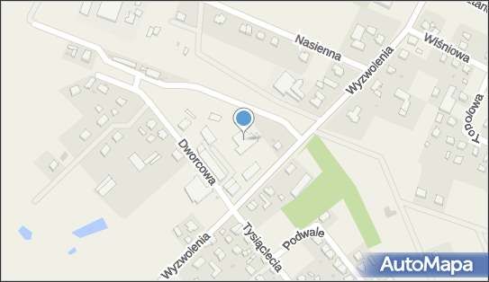 Paczkomat InPost LEW01G, Dworcowa 30, Liniewo 83-420