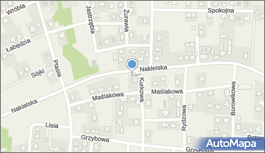 Paczkomat InPost LOH01M, Kurkowa 2, Łochowice 86-065