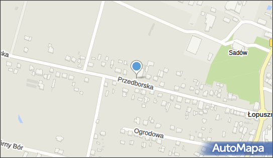 Paczkomat InPost LOO01A, Przedborska 34B, Łopuszno 26-070