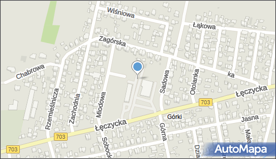 Paczkomat InPost LOW05M, Łęczycka 64, Łowicz 99-400