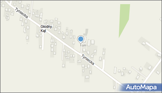 Paczkomat InPost LSI01M, Tyniecka 109, Liszki 32-060