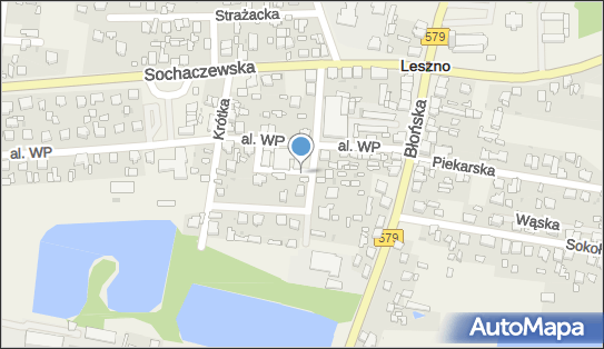 Paczkomat InPost LSZ01N, Aleja Wojska Polskiego 11, Leszno 05-084