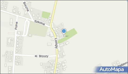 Paczkomat InPost LVU01M, Lompy 77, Lubsza 42-287