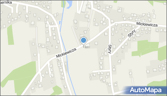 Paczkomat InPost MAN02A, Mickiewicza 141B, Mszana 44-325