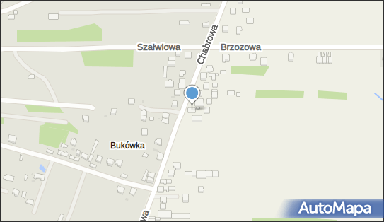 Paczkomat InPost MOJA01BAPP, Chabrowa 98, Mójcza 26-021