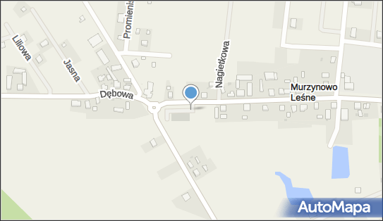 Paczkomat InPost MUL01BAPP, Poznańska 69, Murzynowo Leśne 63-023