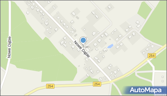 Paczkomat InPost NDAB01M, Nowe Dąbie 86, Nowe Dąbie 89-210