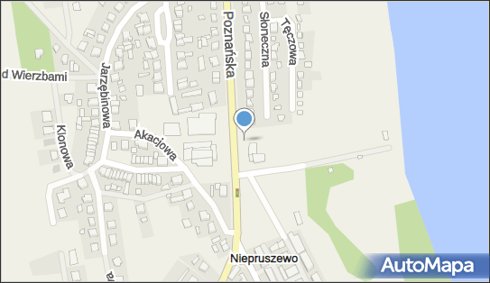Paczkomat InPost NPW01N, Poznańska 32, Niepruszewo 64-320
