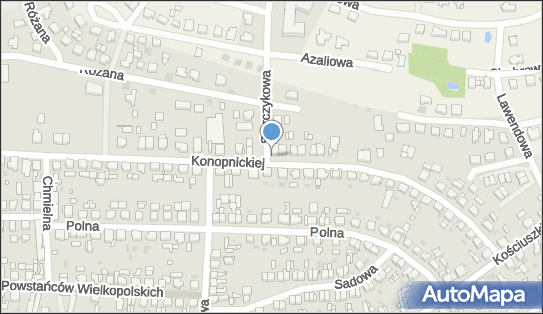 Paczkomat InPost NTM06M, Konopnickiej 39, Nowy Tomyśl 64-300
