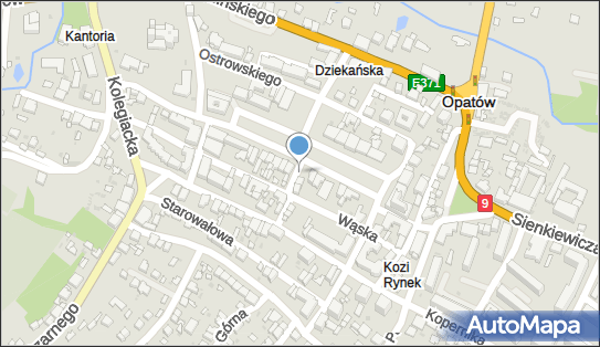 Paczkomat InPost OPT01M, Ogrodowa 3, Opatów 27-500