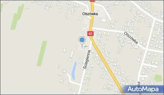 Paczkomat InPost PAJ01M, Ściegienna 2, Pajęczno 98-330