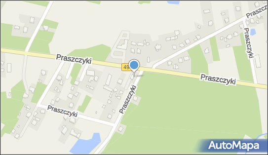 Paczkomat InPost PASZ01BAPP, Praszczyki 51, Praszczyki 42-140