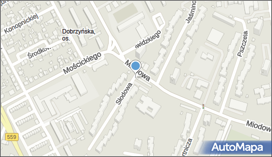 Paczkomat InPost PLC03APP, Miodowa 15, Płock 09-400