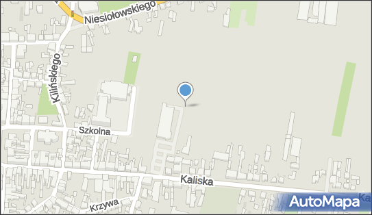 Paczkomat InPost PLE03M, Kaliska 31, Pleszew 63-300