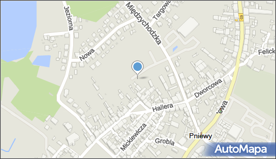 Paczkomat InPost PNI03M, Międzychodzka 2B, Pniewy 62-045