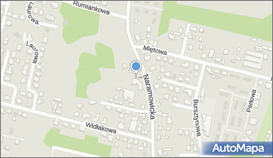 Paczkomat InPost POZ124M, Naramowicka 335, Poznań 61-601