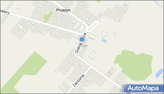Paczkomat InPost PRP01BAPP, Dolina Liwca 55, Pruszyn 08-110