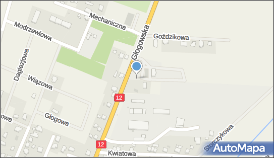 Paczkomat InPost RDC01BAPP, Głogowska 2, Radwanice 59-160