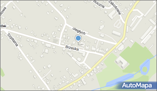 Paczkomat InPost RLO01M, Brzeska 2, Radłów 33-130