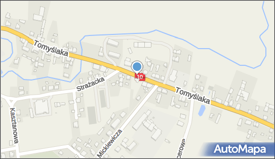 Paczkomat InPost SDK01M, Tomyślaka 28, Sadki 89-110