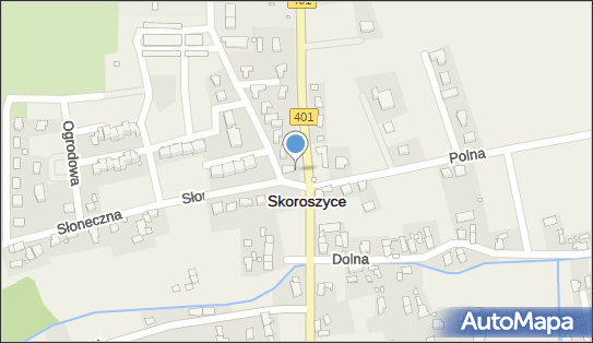 Paczkomat InPost SKX01F, Działkowa 4, Skoroszyce 48-320