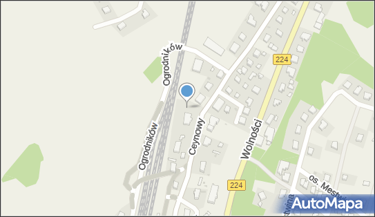 Paczkomat InPost SMN01APP, Ceynowy 20, Somonino 83-314