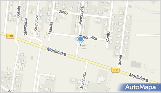 Paczkomat InPost SQD01M, Puszczyka 2, Skierdy 05-101