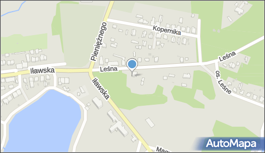 Paczkomat InPost SUS03M, Leśna 1, Susz 14-240