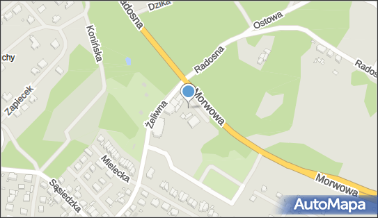 Paczkomat InPost SZC22A, Radosna 10, Szczecin 70-752