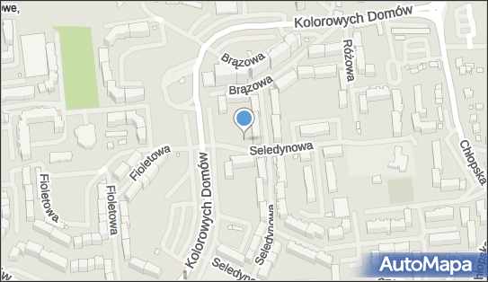 Paczkomat InPost SZC41M, Seledynowa 10, Szczecin 70-781