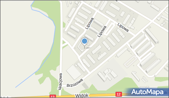 Paczkomat InPost SZP01N, Lipowa 10, Wiechlice 67-300