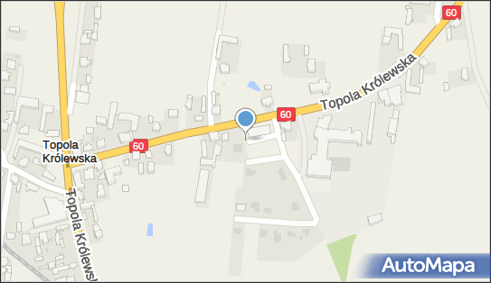 Paczkomat InPost TKL01M, Topola Królewska 62A, Topola Królewska 99-100