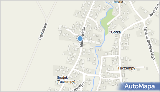 Paczkomat InPost TUCE01M, Mickiewicza 64, Tuczempy 37-514