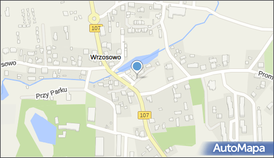 Paczkomat InPost VOW01M, Wrzosowo 24, Wrzosowo 72-400