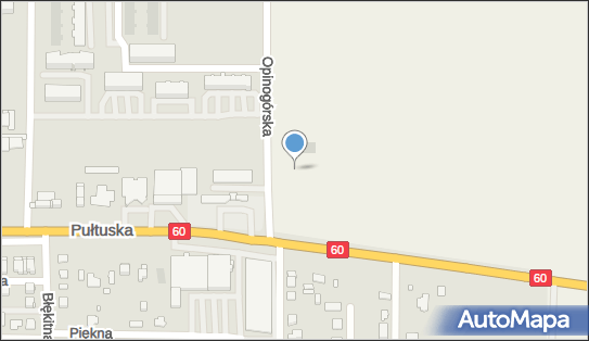 Paczkomat InPost WDY01BAPP, Opinogórska 8, Władysławowo 06-406
