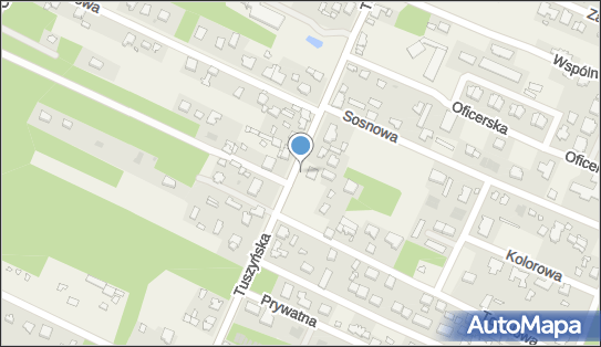 Paczkomat InPost WIG01M, Tuszyńska 108, Wiśniowa Góra 95-020