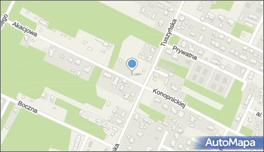 Paczkomat InPost WIG02M, Tuszyńska 56B, Wiśniowa Góra 95-020