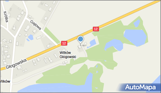 Paczkomat InPost WILK01M, Głogowska 26A, Wilków 67-200