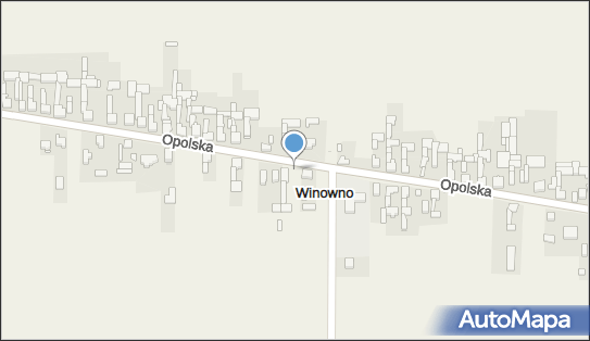 Paczkomat InPost WLNQ01BAPP, Opolska 101, Winowno 42-350