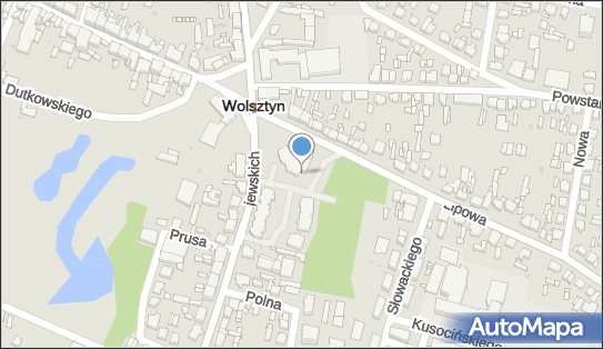Paczkomat InPost WLS09M, Gajewskich 1, Wolsztyn 64-200
