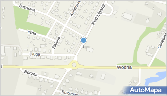 Paczkomat InPost WPL01M, Licheńska 66, Wola Podłężna 62-510