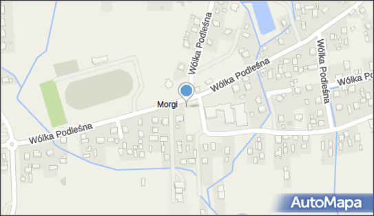 Paczkomat InPost WPS01M, Wólka Podleśna 442, Wólka Podleśna 36-002