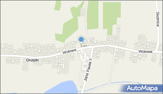 Paczkomat InPost ZZI01APP, Brzezie 307, Brzezie 32-014