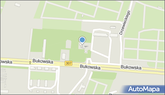 Pałac, Dwór, Bukowska307 241, Poznań 60-189 - Pałac, Dwór