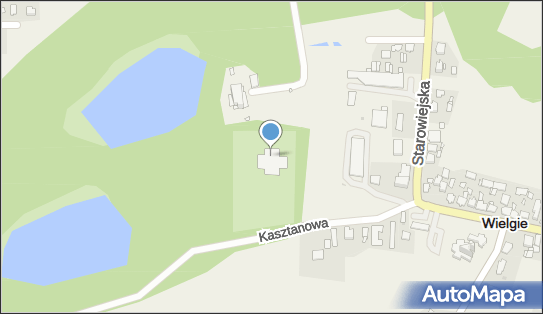 Ruiny dworu, Kasztanowa 2, Wielgie 87-603 - Pałac, Dwór