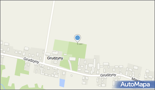 dworski, Grudzyny 11, Grudzyny 28-313 - Park, Ogród