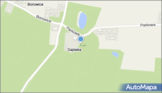 Podworski, Borowice 16, Borowice 09-470 - Park, Ogród